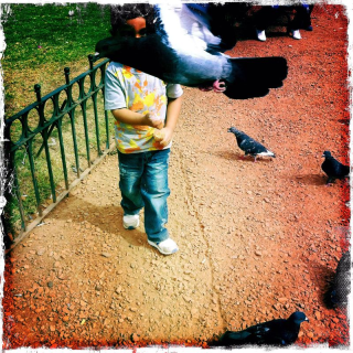 Birdman